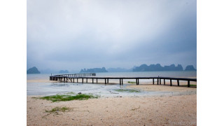  Biển đảo Vân Đồn được thiên nhiên ưu ái ban tặng cho nhiều loại hải sản quý